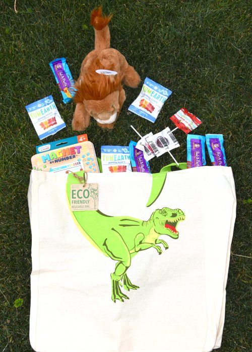 dino bag with treats and lion